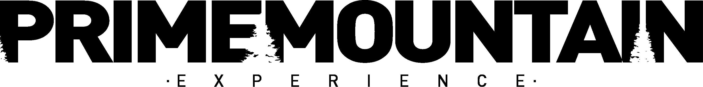 PRIME MOUNTAIN EXPERIENCE